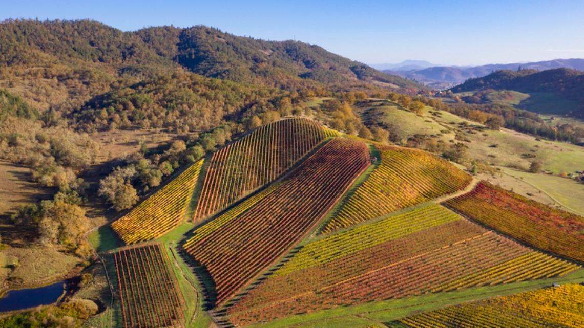 Northwest Wine: Oregon’s innovative Abacela turns 25 this spring