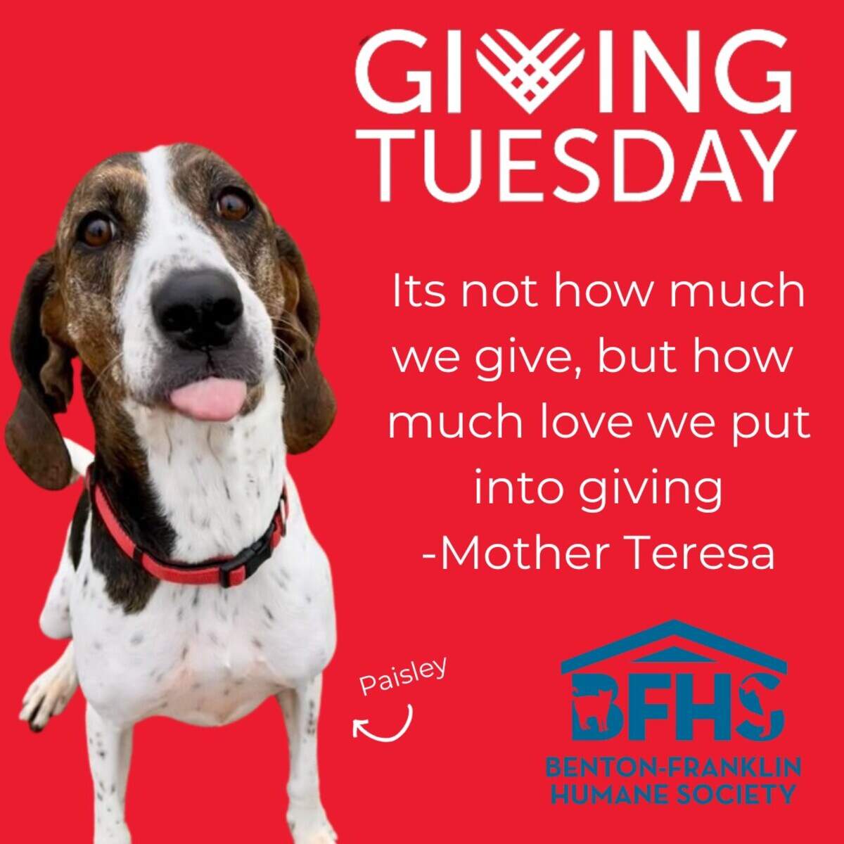 A graphic shared on the Benton Franklin Humane Society Facebook page ahead of Giving Tuesday, Nov. 28, 2023, urges followers to support the humane society.