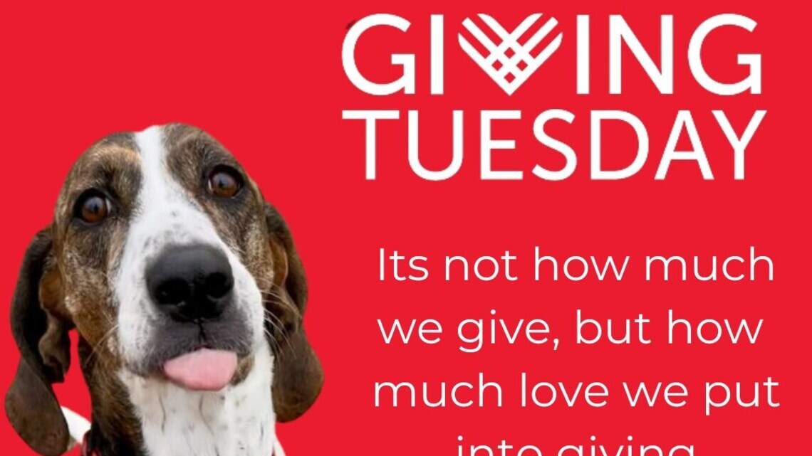 #GivingTuesday. 6 Tri-Cities charities asking for your help this holiday season