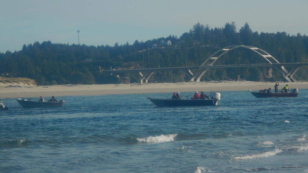 Tri-Cities outdoor writer Dennis Dauble describes a day of fishing on the ocean and the haul that came with it.