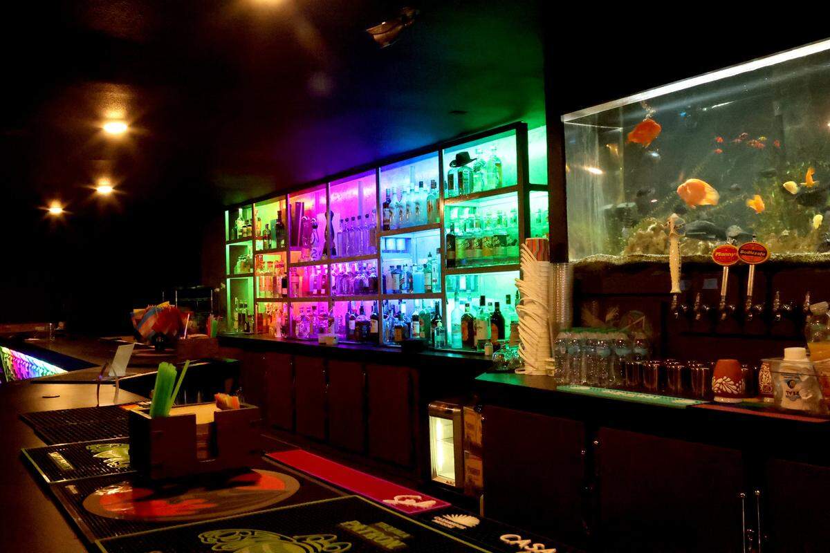 The bar at Azúcar at Out and About is decorated with rainbow lights.