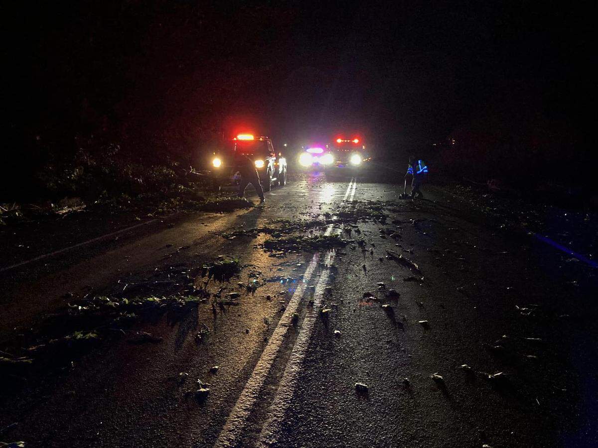 Benton County road crews worked through the night removing trees from roadways.