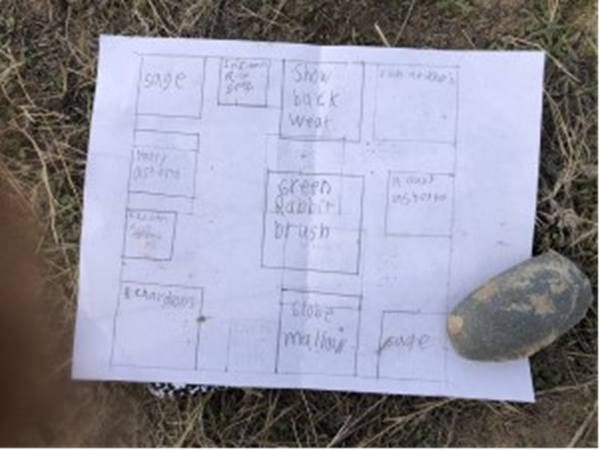 A hand-drawn diagram for students in the field.
