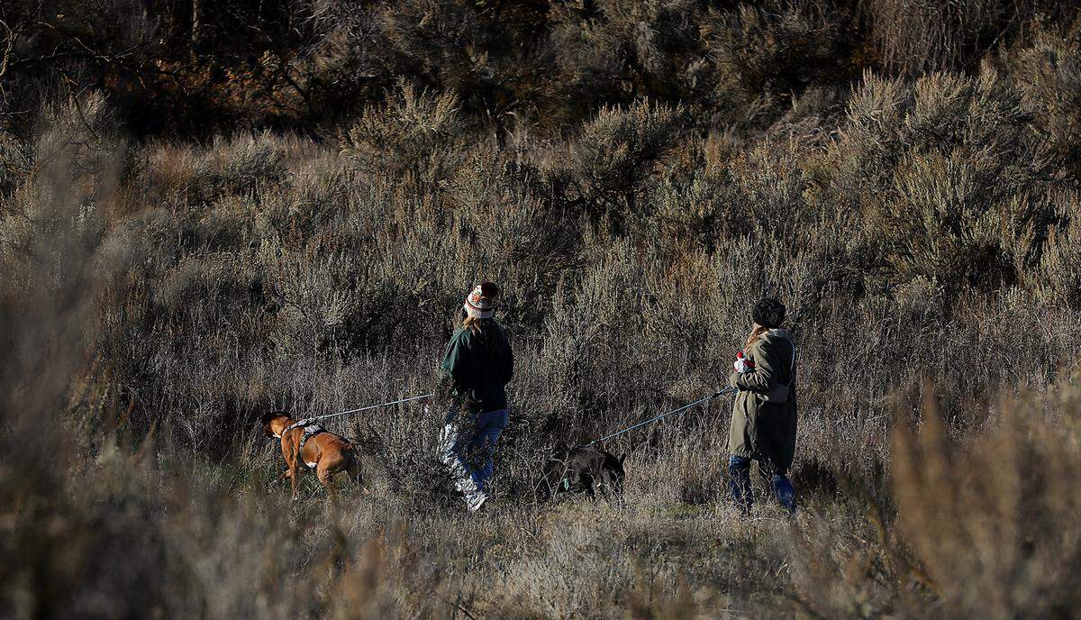 Dog walkers search for Santa decorations and ornaments during Friday morning’s third annual Chamnarama Santa Scavenger Hunt held at the Chamna Natural Preserve in Richland. Event organizer Heather Henderson said she started the event three years ago as way to get people outside and as an alternative to Black Friday shopping.