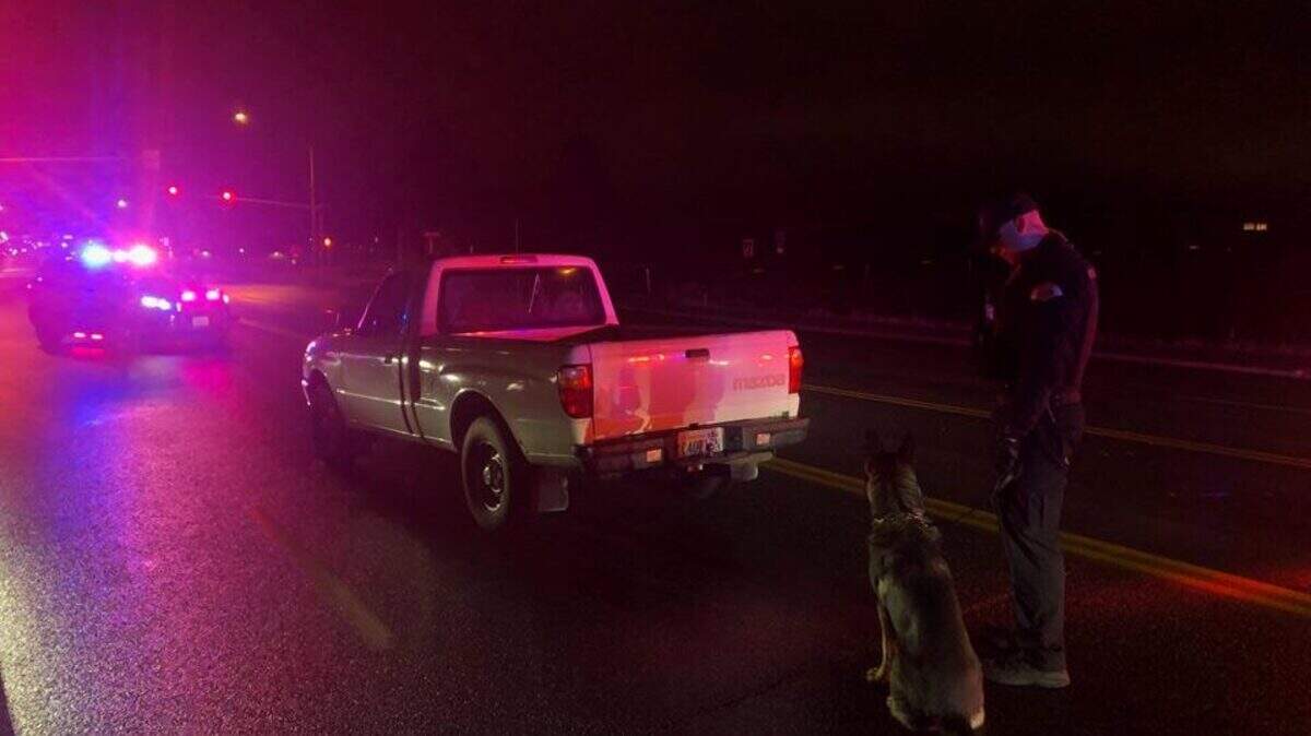 Pasco police arrested a man wearing just a shirt and underwear for DUI and eluding.