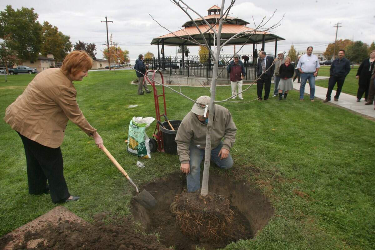 Then Pasco Mayor Joyce Olson helps plant a tulip tree during a dedication ceremony in 2009 for a new pavilion in Volunteer Park to honor Pasco’s 125th anniversary.