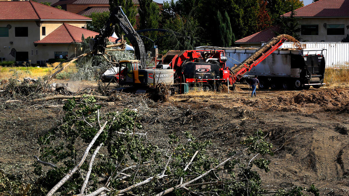 A excavator feeds trees into a large-scale grinder to be pulverized and hauled away by a truck from the nearly 5 acres he new Bradley Boulevard Apartment complex just off George Washington Way in Richland. Cedar and Sage Homes is the developer.