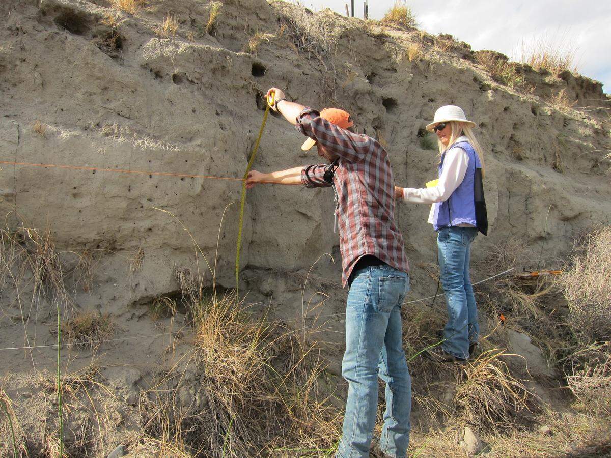 Archaeologists with Mission Support Alliance play an important role in protecting and preserving artifacts across Hanford.
