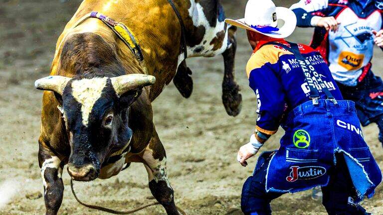High-octane action keeps fans on their feet at 2026 Horse Heaven Round-Up