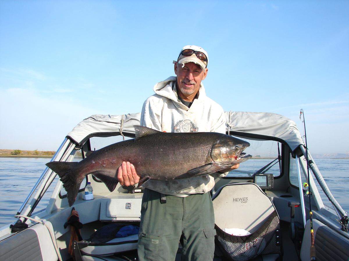 Dennis Dauble shows off a 25-pound fall Chinook salmon landed on the Reach on the Columbia River during one of his lucky days.