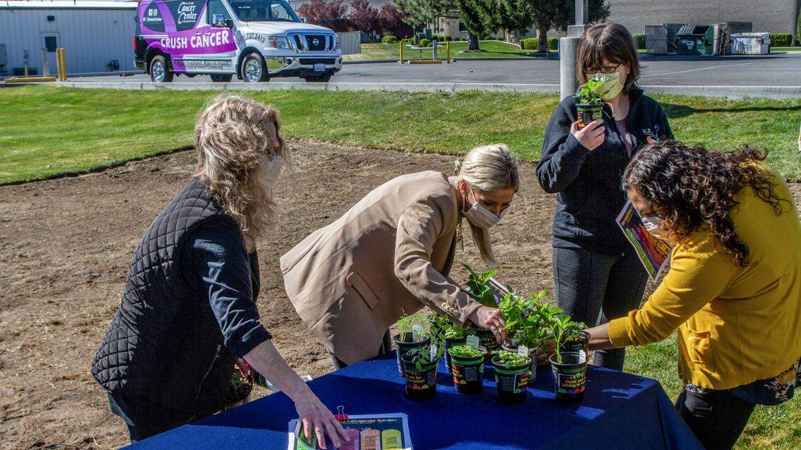 Tri-Cities garden to cultivate health and crush cancer