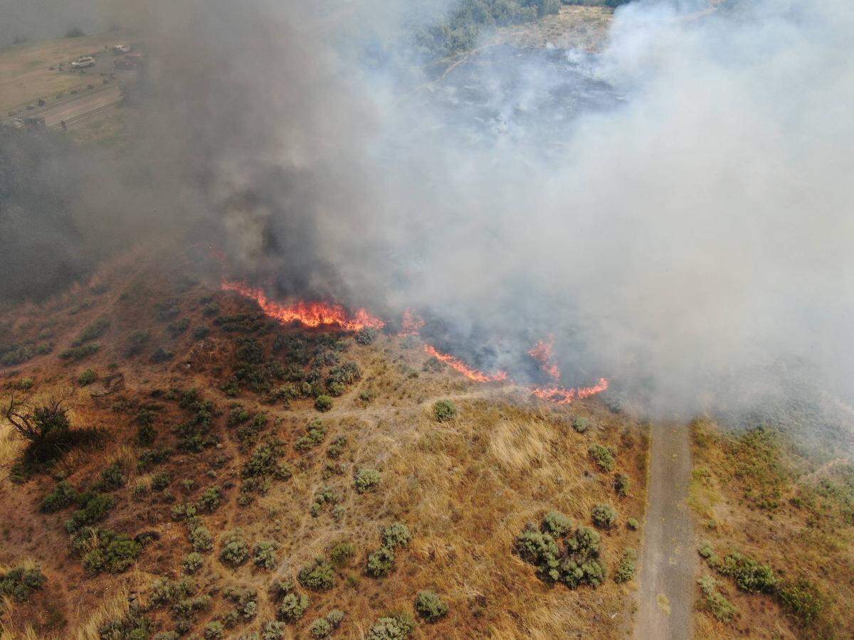 A fire burned about two acres in Columbia Park in July 2024.