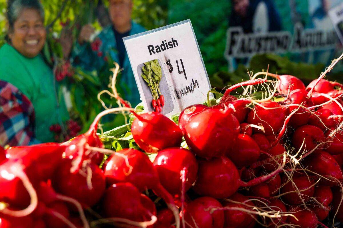 Freshly harvested radishes are displayed for sale Saturday at the Prosser Farmers Market during Prosser’s Old-Fashioned Fourth of July celebration. The holiday market featured locally grown fruits, vegetables and flowers as hundreds of visitors browsed vendor booths and nearby community festivities in Prosser City Park.