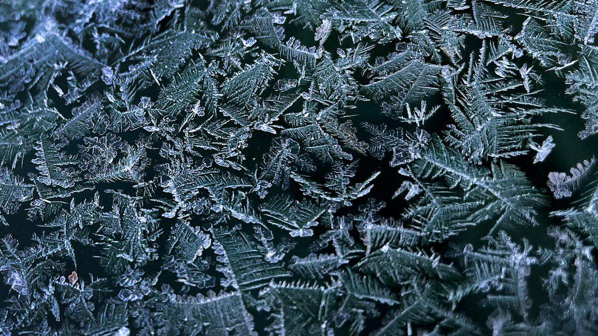 Is your home ready for frost? Central and Western Kentucky are under a freeze warning Monday night.