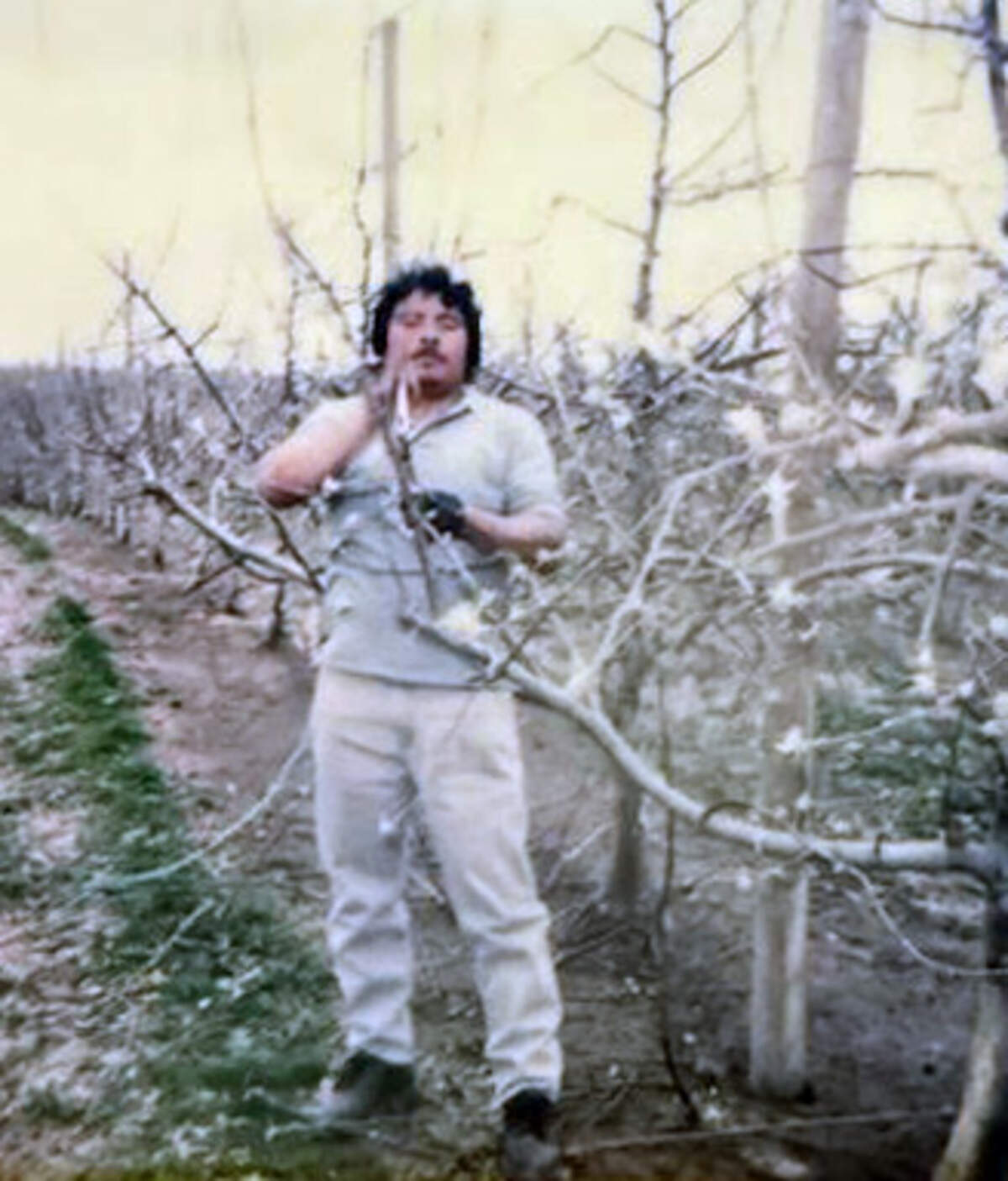 Nery Mateo worked year round at FirstFruits Farms in Prescott, Wash.
