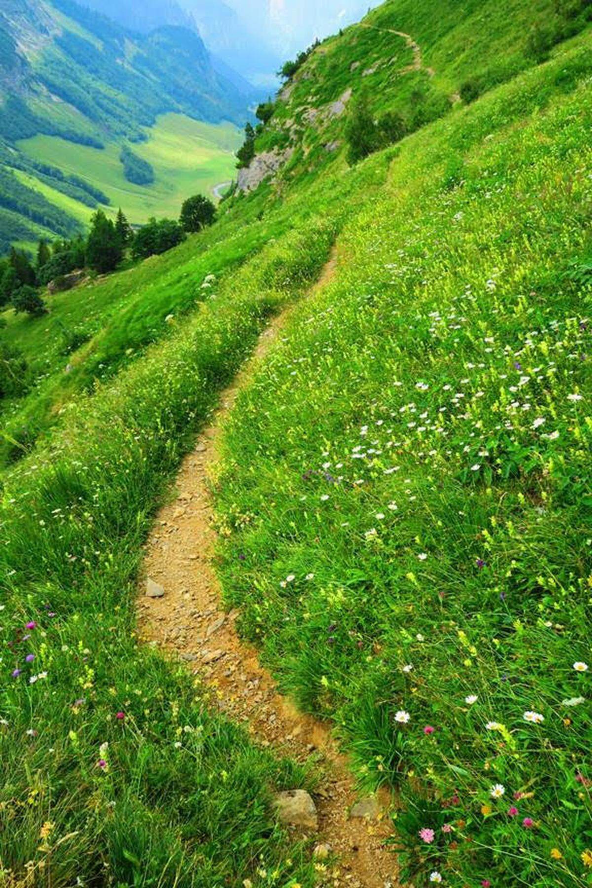 The Swiss Alpine Pass Route, which passes through many mountains and meadows, is one of Overby’s favorite trails.