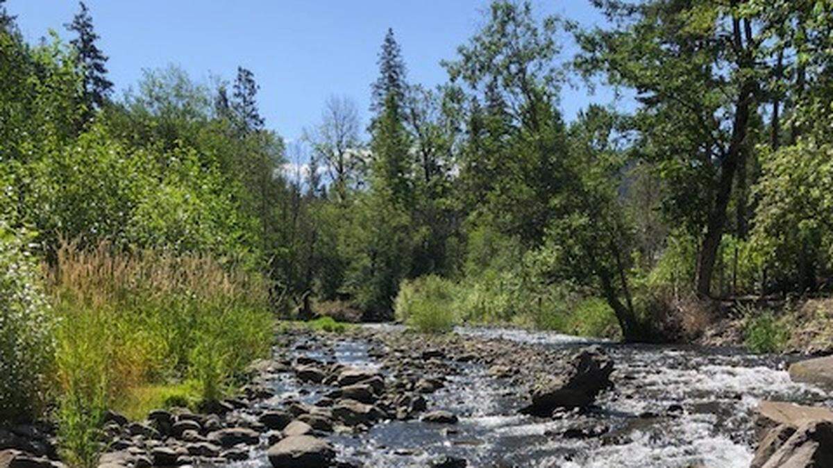 “Just being outside in God’s incredible creation was a highlight for me. Trees, water, wildlife, and the mountain air were so refreshing,” says Spiritual Life writer Lee Walter.