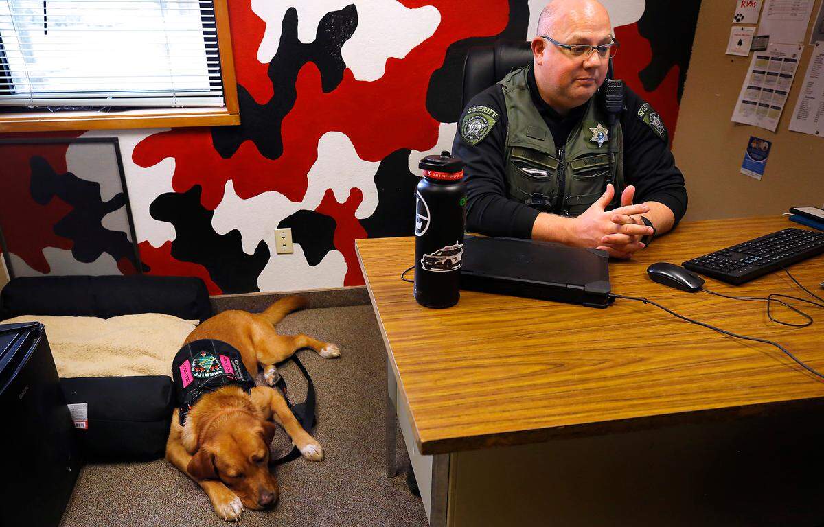 Blaze is a lab/golden retriever mix trained to find hidden electronic devices.