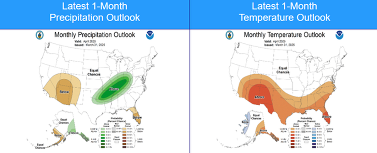 Precipitation outlook for planting in the PNW.