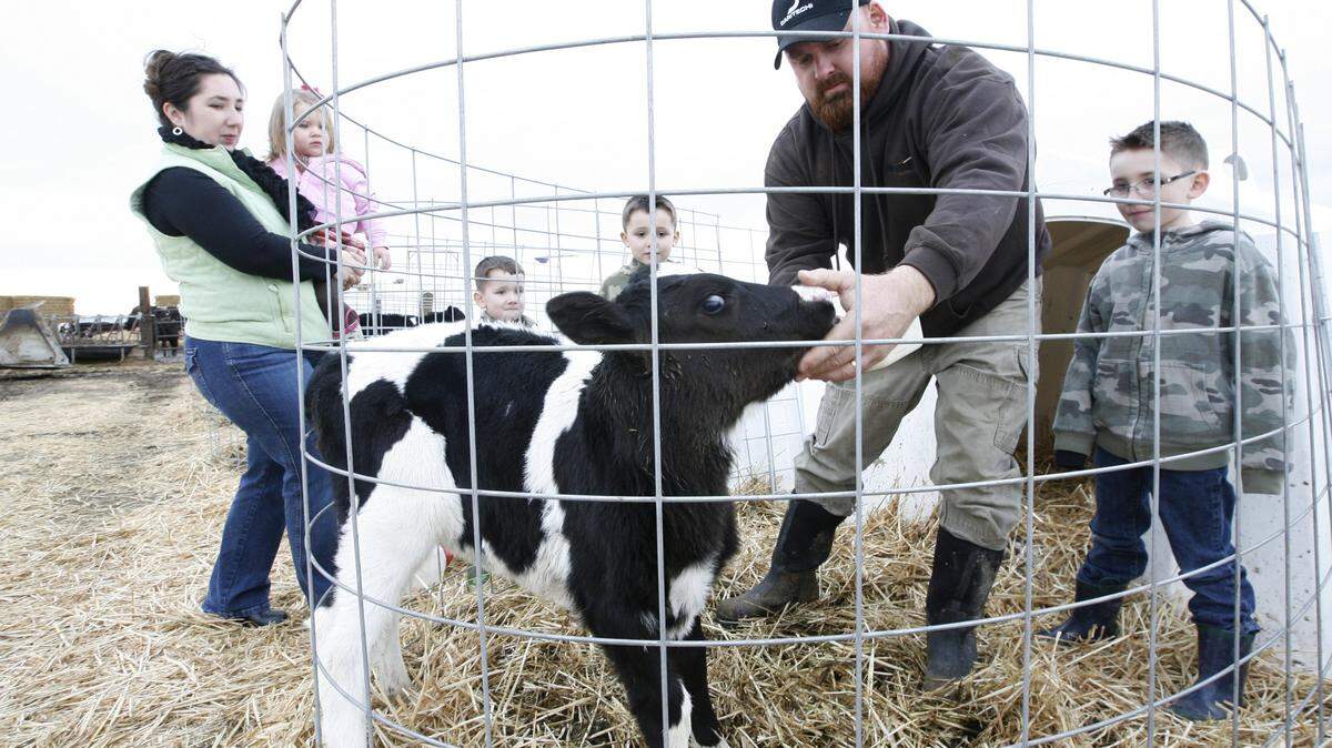 Travis Thomasson and his wife Sasha, pictured here in 2012, operate the Double T Dairy near Mesa. Three former workers are accused of stealing cattle from the dairy.