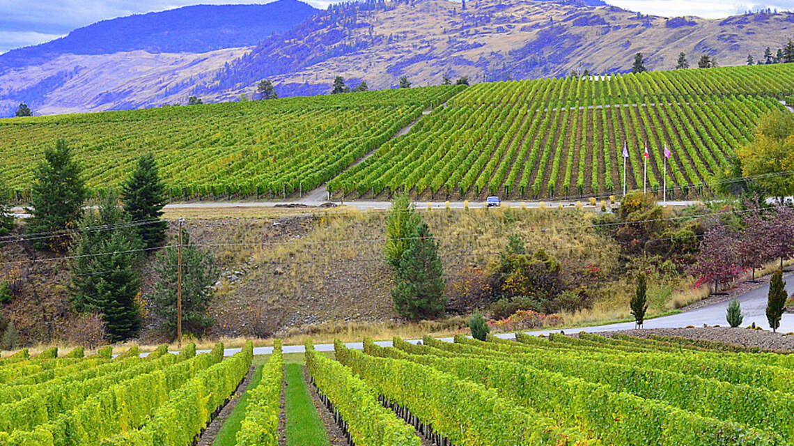 Northwest Wine: World-class juice flows from Golden Mile Bench, Similkameen Valley