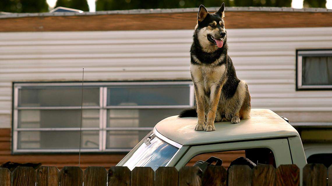 Renters in Washington state are entitled to certain necessities, as outlined in the Revised Code of Washington.