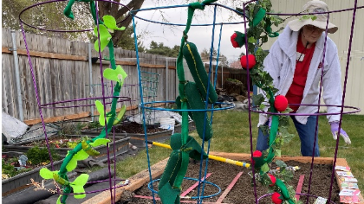 Washington State University Extension Master Gardeners offer creative ways to plant a garden this spring.