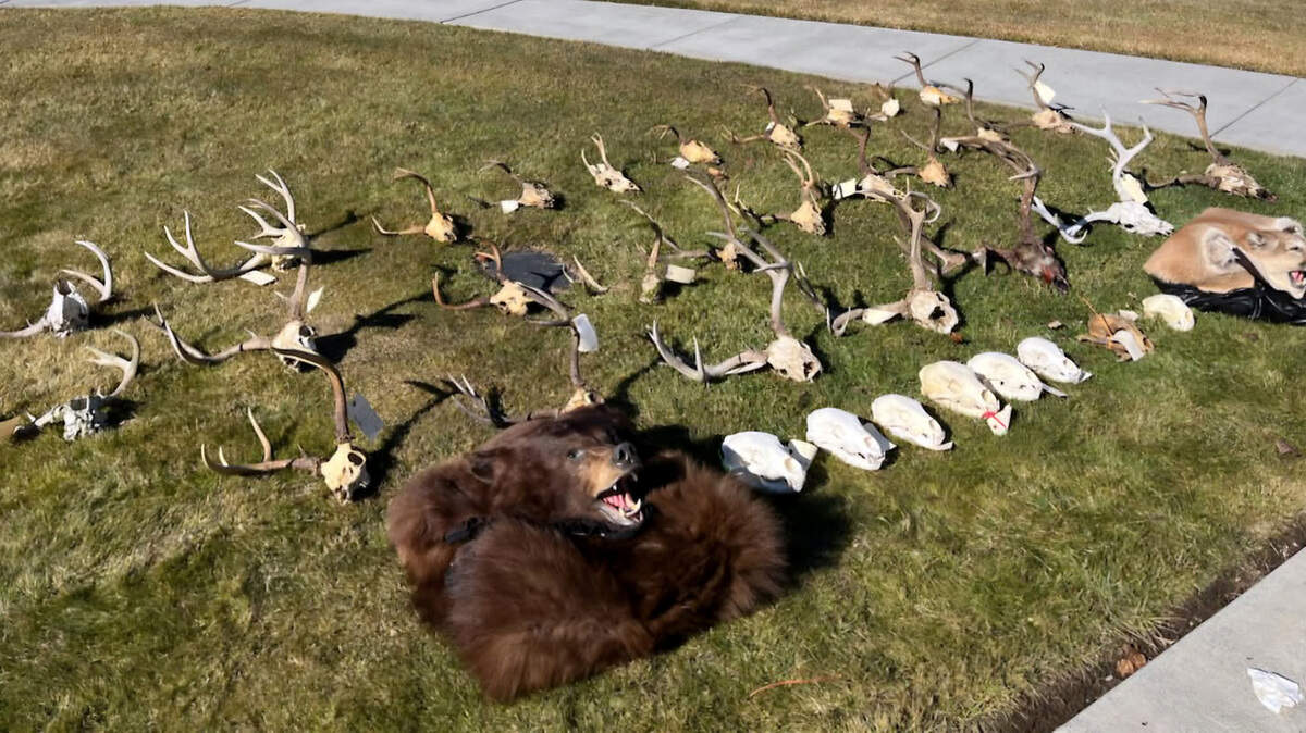 Items seized in the poaching and unlawful hunting investigation.
