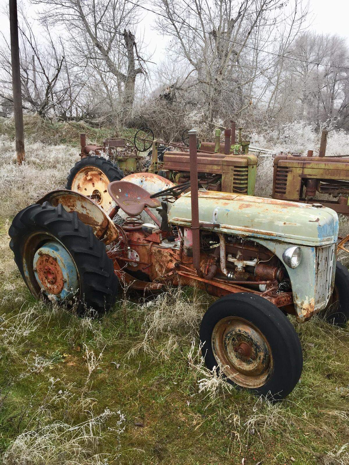 Be respectful of private property and stored farm equipment when traipsing through cottonwood bottomland in pursuit of steelhead.