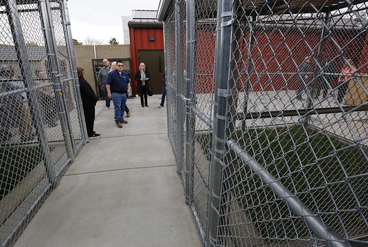 Kalob Flores, a canine control officer, conducts a tour of the Benton County Canine Shelter's recently completed expansion project following a ribbon cutting ceremony at the Kennewick facility. The project includes 17 covered grass outdoor kennels with misters to keep dogs cool on hot days.