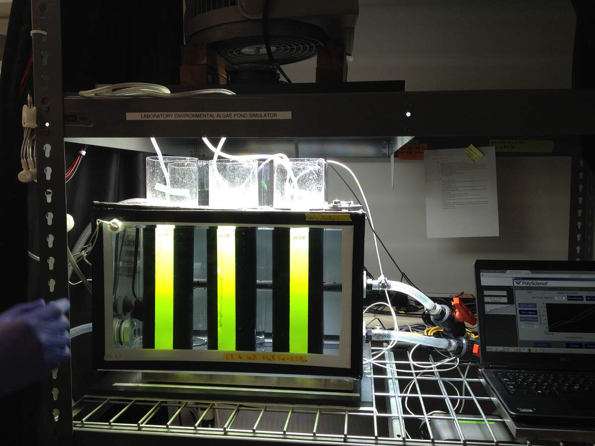 The Laboratory Environmental Algae Pond Simulator (LEAPS) at PNNL’s Marine Sciences Laboratory in Sequim, Wash., accurately simulates microalgae growth in outdoor ponds to help discover high-productivity and resilient strains of algae that could be cultivated for biofuel production.