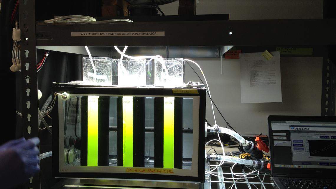 Yucky scum may someday fuel cars, planes and trains because of PNNL researchers