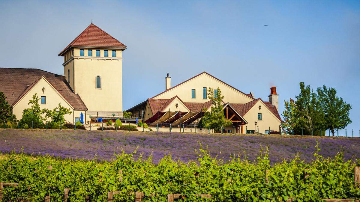 King Estate Winery near Eugene, Ore., is the largest Biodynamic vineyard in the United States.