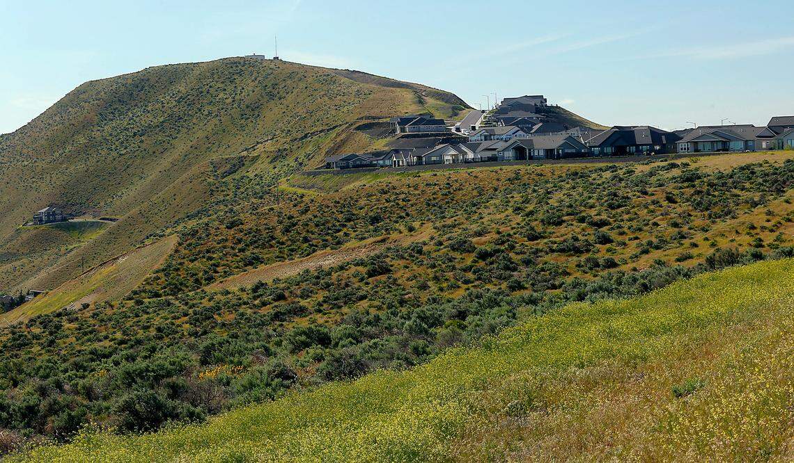 The city of Richland is developing a master plan to extend the Badger Mountain trail system onto Little Badger Mountain.