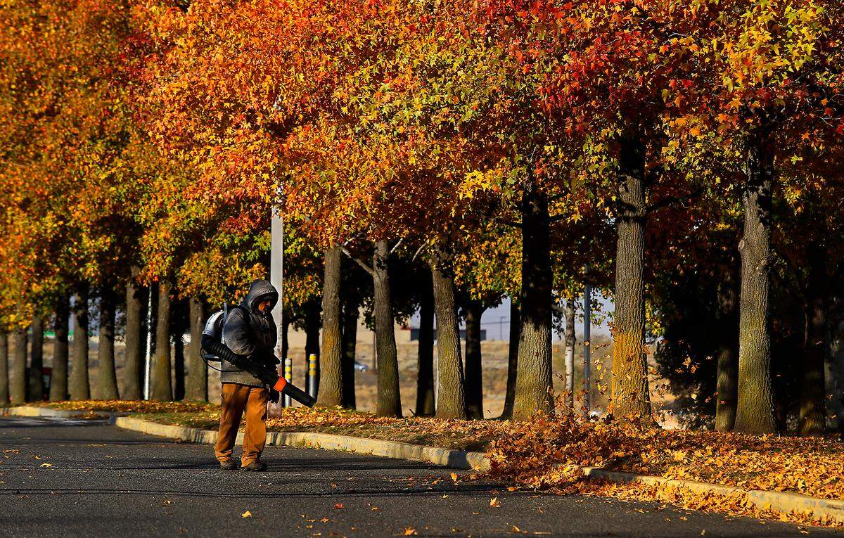 A worker at Washington State University Tri-Cities campus in Richland.