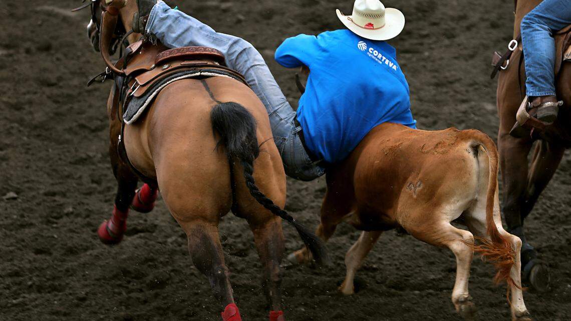 Mid-Columbian among the best steer wrestlers in pro rodeo cowboys’ National Finals Rodeo