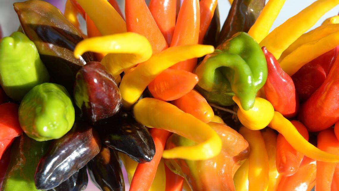 This hot Tri-Cities event is back after 2 years. It’s paradise for spicy food lovers