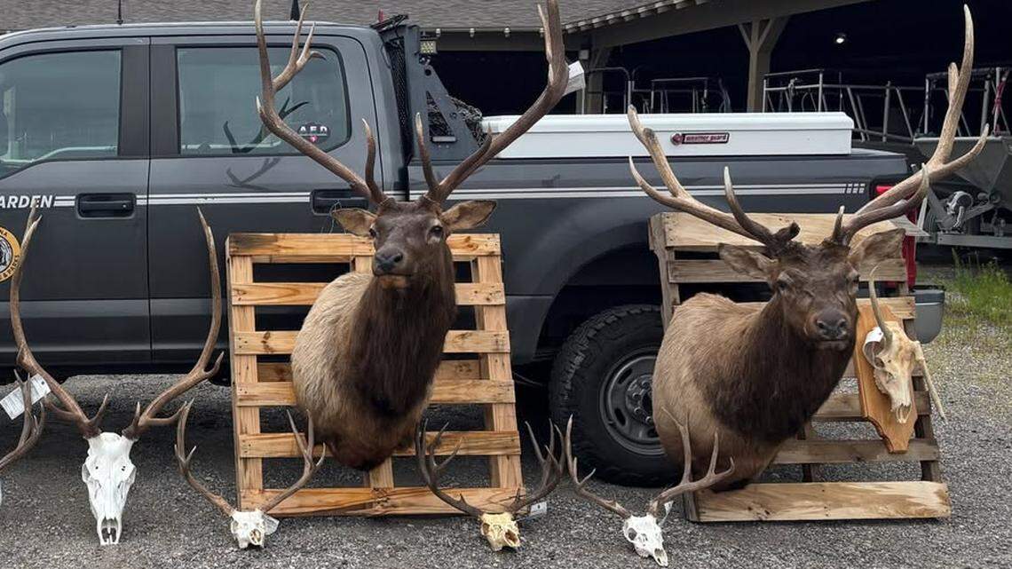 Shots fired on Bradley Boulevard, Richland police respond | Tri-City Herald