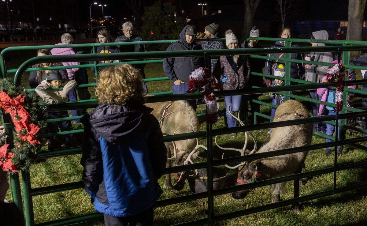 Hundreds gathered for the Winter Wonderland Festival of Lights kicked off at John Dam Plaza in Richland on Friday. The dancing lights show will play every evening from 5 to 10 p.m. until Jan. 2.