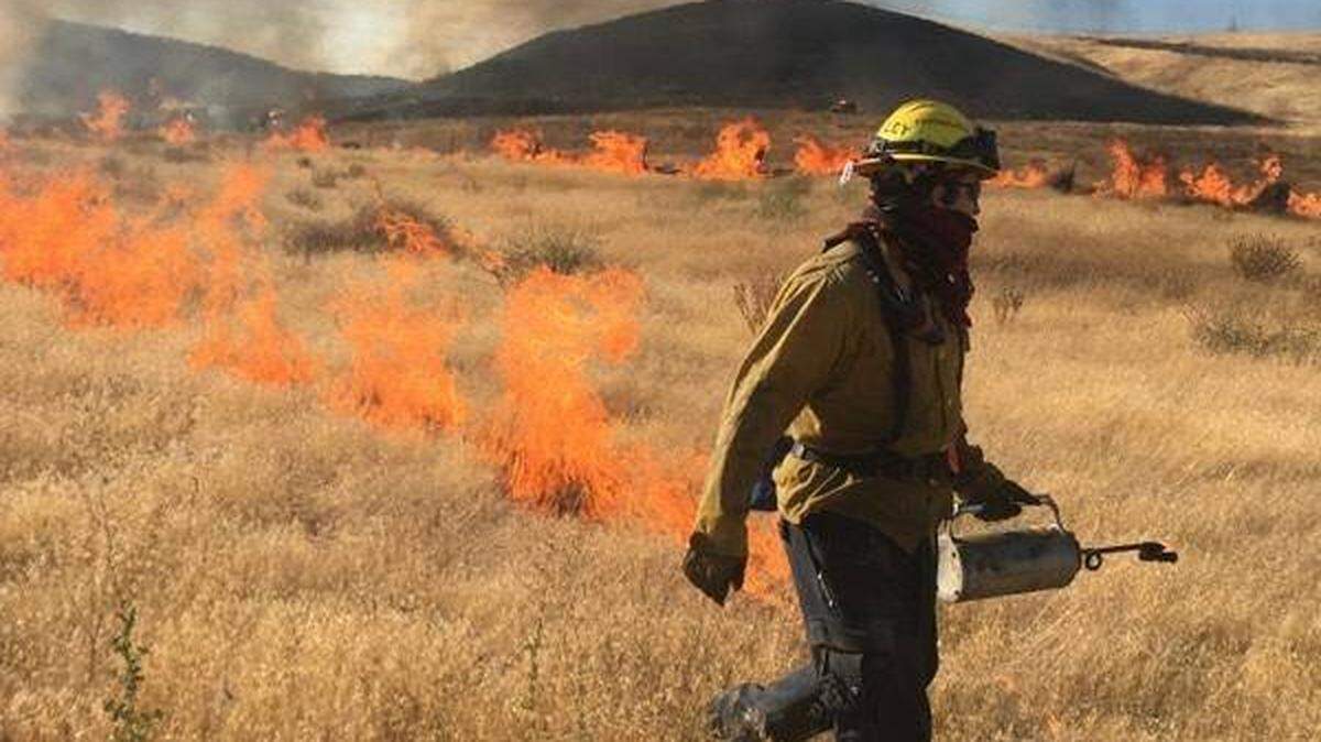 A Kennewick firefighter burns grass to contain the Wagon Wheel Fire on Monday.