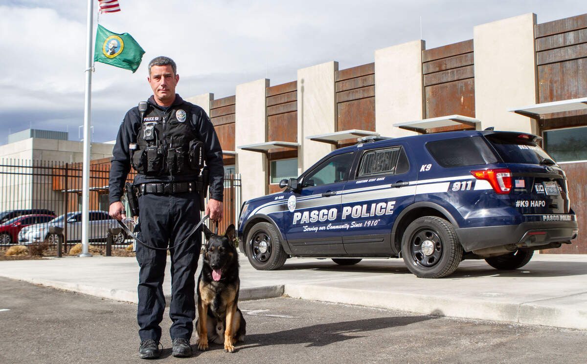 Pasco police department K9 Hapo II, a 2-year-old German Shepard, started patrolling the city with his handler Jason Griffin in November 2020. On Friday, the canine was officially introduced to the public duiring a check presentation from the HAPO Community Credit Union. Hapo II is named in honor of the credit union, which donated $25,000 to help with the cost of the new dog, and in rememberance of the original K9 Hapo, who died unexpectedly from natural causes in March 2020.