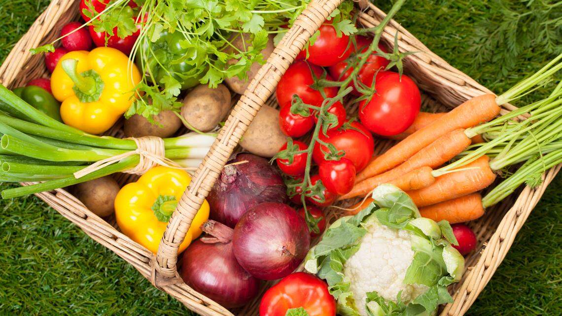 6 tips to start your Tri-Cities vegetable garden. WSU master gardener’s best advice