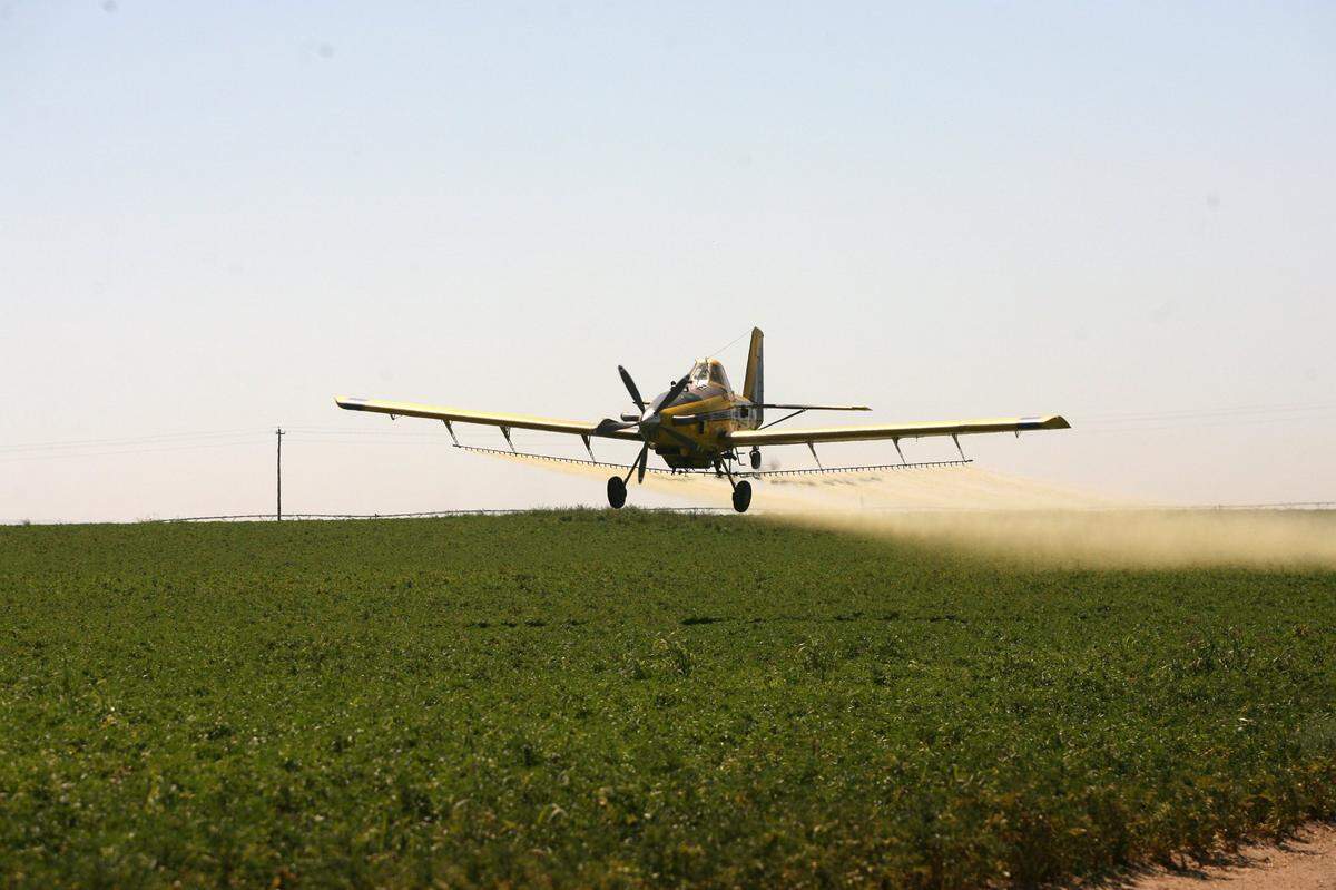 A crop duster applies spray to a field of potatoes on North Glade Road north of Pasco in this file photo.