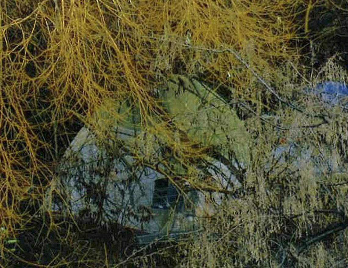 Lona Hammer, the director of Kennewick Housing Authority, spotted a small tent camp in Zintel Canyon below her house. It served as the launching point to create a micro home development to give homeless people a place to live.