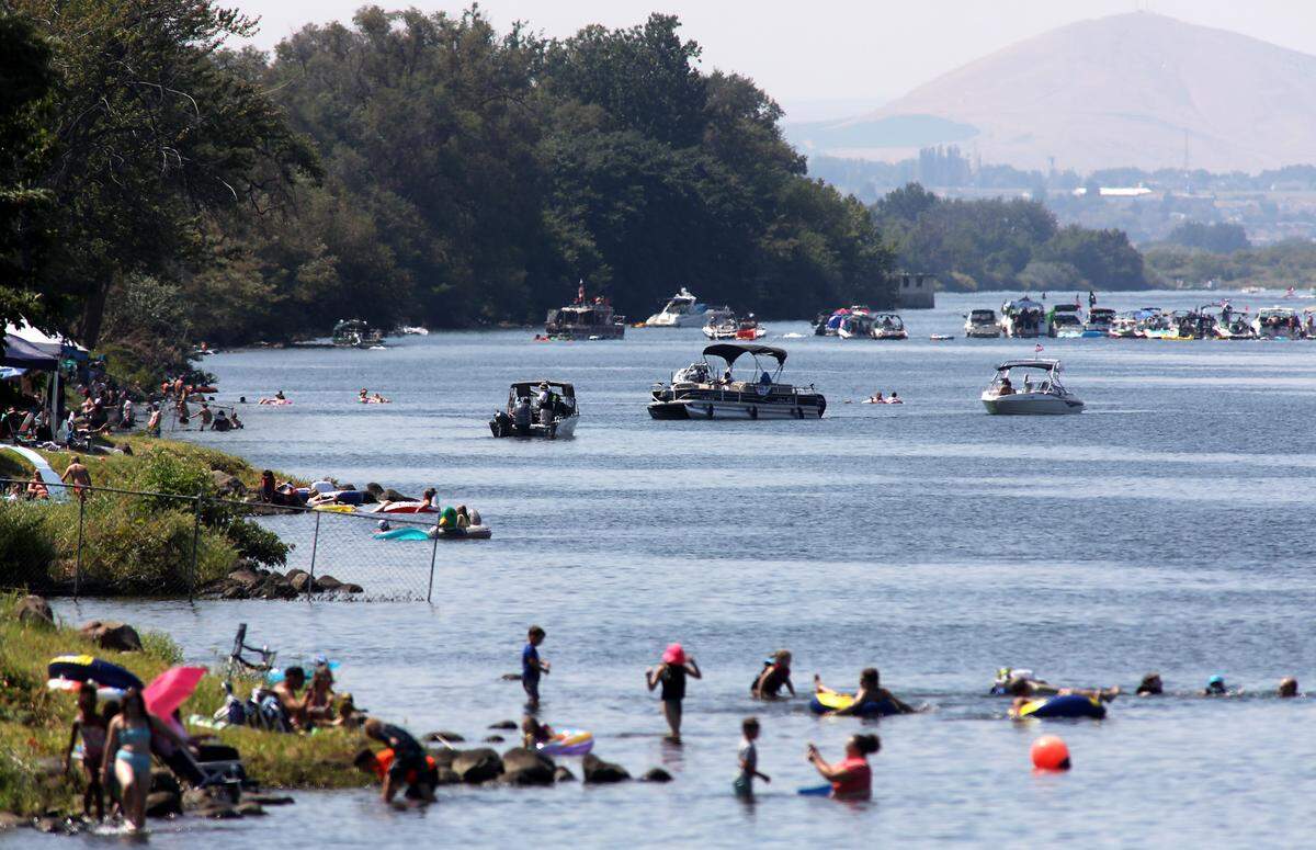 Water Follies fans and patrol boats line the edge of Columbia River in Kennewick’s Columbia Park during the Columbia Cup unlimited racing event in the Tri-Cities.