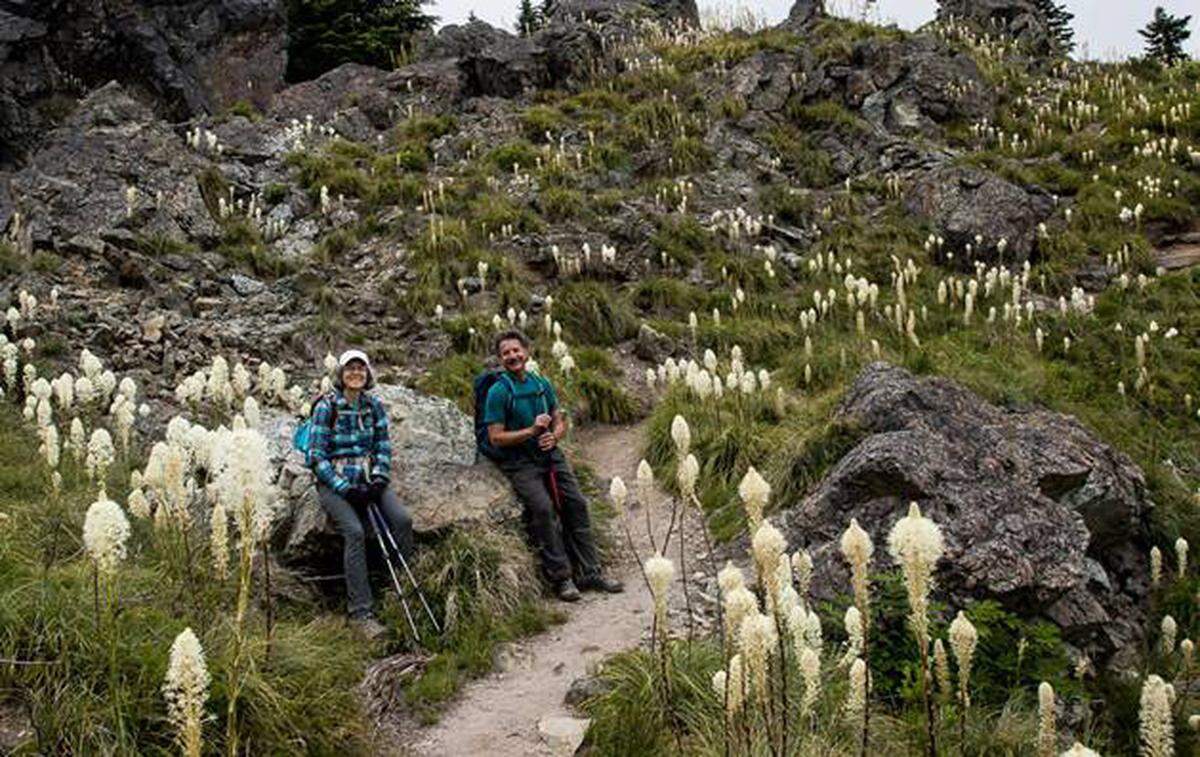Bear Grass covers the upper exposed slope of Shriner Peak.