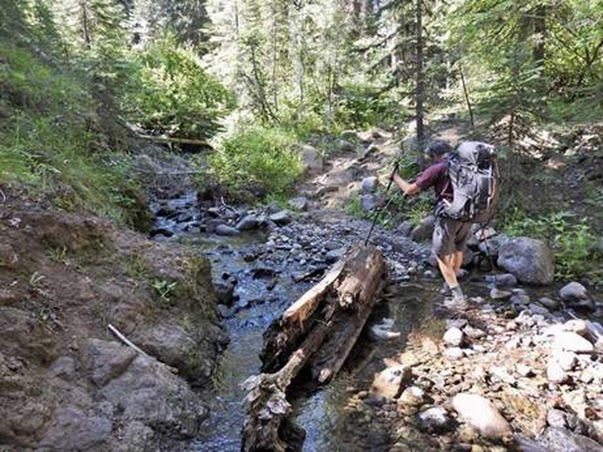 Paul Krupin on the North Fork Catherine Creek Trail.