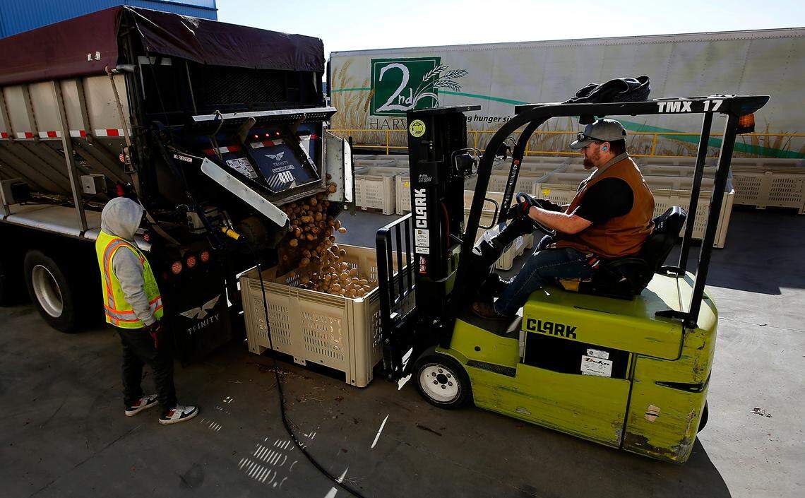 About 73,000 pounds of potatoes donated by Lamb Weston are unloaded at the Pasco warehouse for 2nd Harvest.