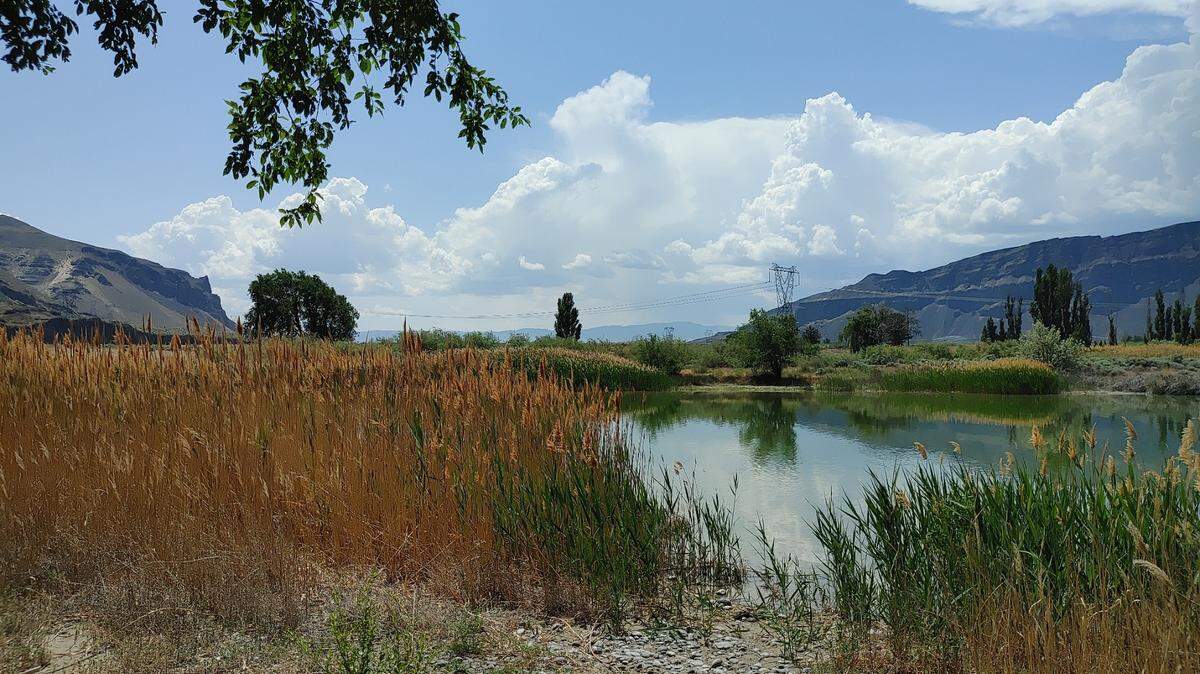 Sentinel Gap, as seen from Burkett Lake Recreation Area at Beverly, Wash. Beverly secured Washington’s 21st American Viticultural Area designation on Oct. 29.