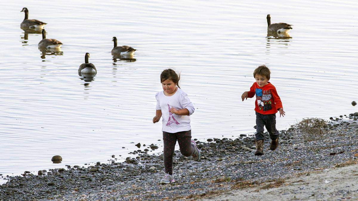 Siblings Avery Dunn, 5, left, and Hank, 2, run and play along the Columbia River shoreline at Howard Amon Park in Richland on Wednesday, taking advantage of a gorgeous October day. They were accompanied by their father, David Dunn of Pasco.